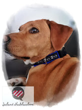 Laden Sie das Bild in den Galerie-Viewer, Hundehalsband (einfache Version) Ein Preis für alle Größen