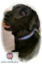Laden Sie das Bild in den Galerie-Viewer, Hundehalsband Rosa Hündchen Webband (einfache Version)