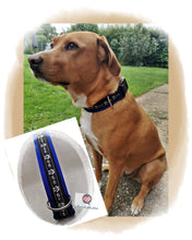 Laden Sie das Bild in den Galerie-Viewer, Hundehalsband, Halsband, Hundegeschirr, Pfötchenhalsband, Pfotenhalsband, Pawnhalsband